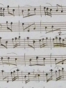 PT AC, Bibliotheca musicalis, B.248.3